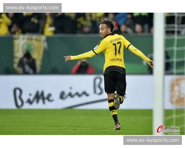 开云体育德国杯直播之旅：全景观赛体验